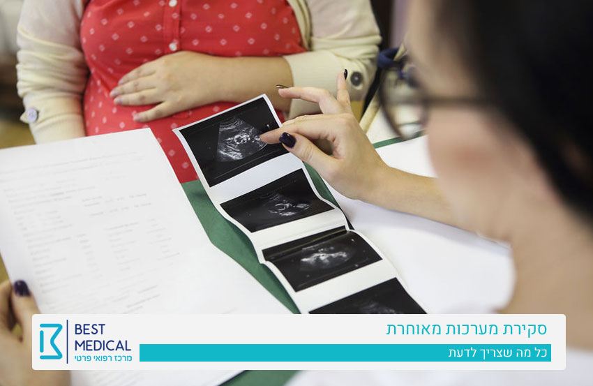 סקירת מערכות מאוחרת פרטית בהריון