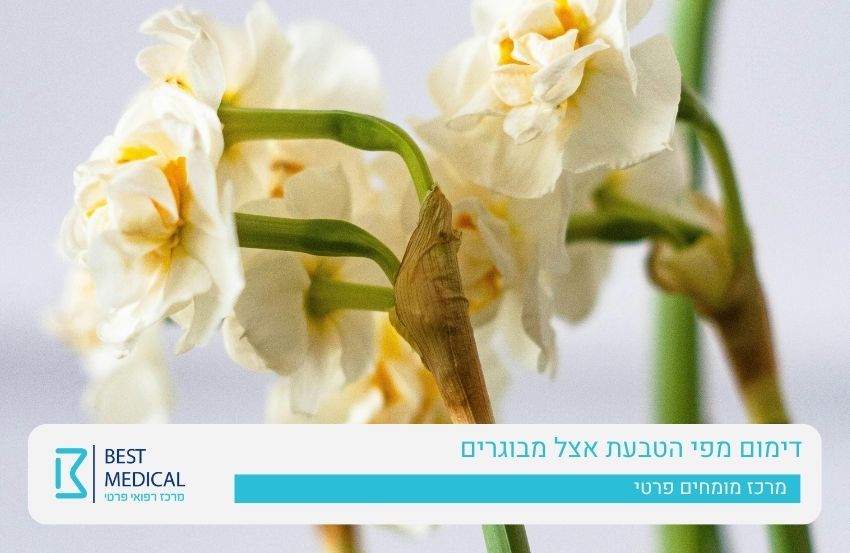 דימום מפי הטבעת אצל מבוגרים - פרוקטולוג פרטי